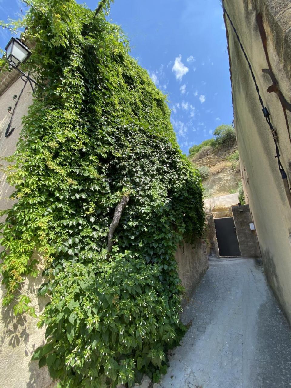 Maison De Village Dans Le Sud Luberon Cadenet